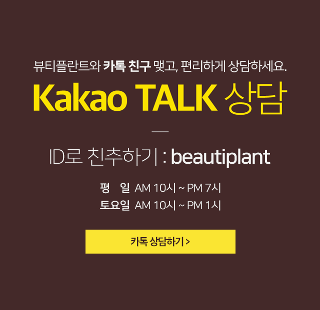 KAKAO